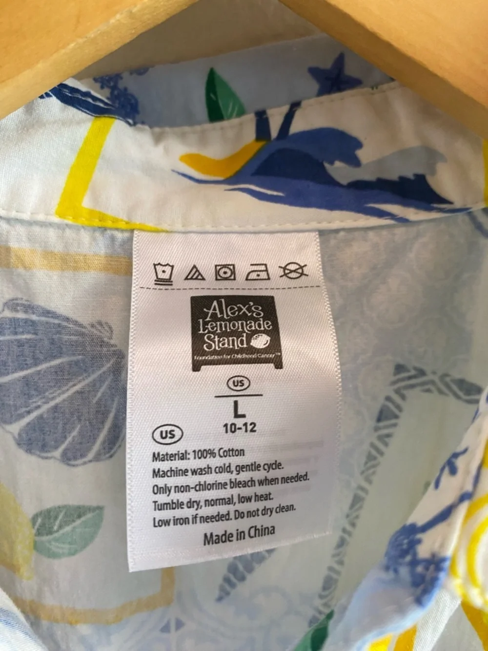 ALEX’S LEMONADE STAND Aldi Viral Button Down Dress